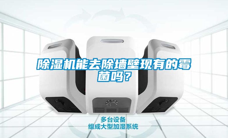 除濕機能去除墻壁現有的霉菌嗎?