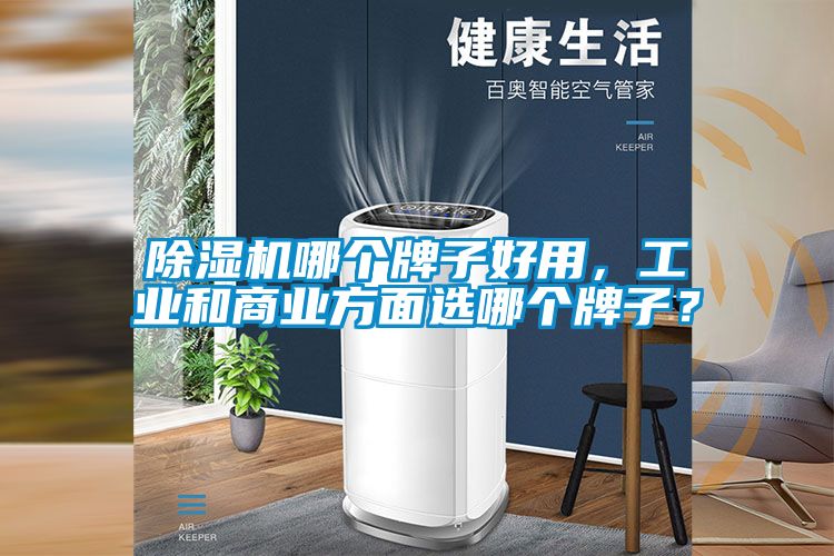 除濕機哪個牌子好用，工業和商業方面選哪個牌子？
