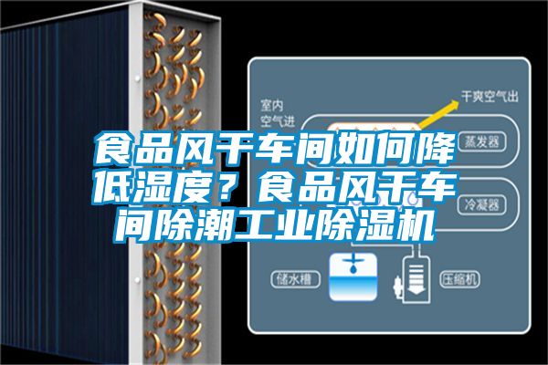 食品風(fēng)干車間如何降低濕度？食品風(fēng)干車間除潮工業(yè)除濕機(jī)