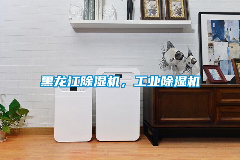 黑龍江除濕機，工業除濕機