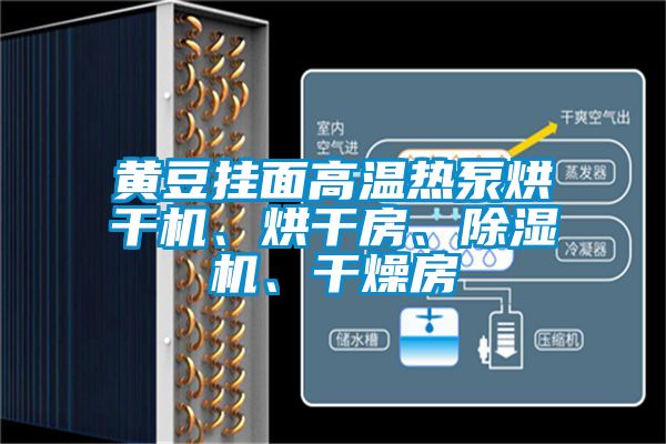 黃豆掛面高溫熱泵烘干機、烘干房、除濕機、干燥房