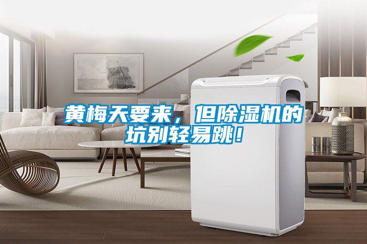 黃梅天要來，但除濕機的坑別輕易跳！