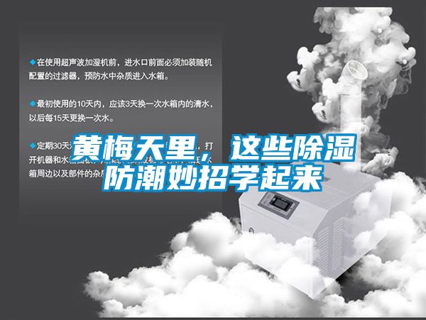 黃梅天里，這些除濕防潮妙招學起來